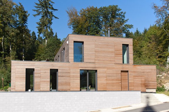 Einfamilienhaus mit Holzschalung und Flachdach